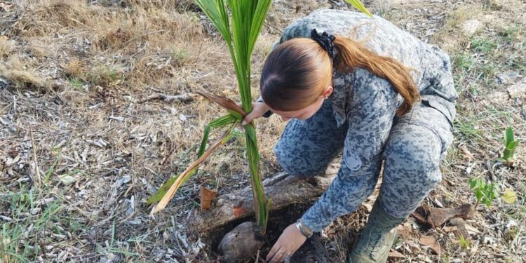 Proyecto de plantación de arboles nativos en San Andrés.
