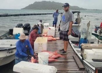 Fishing and farmig cooperative, extraordinario concurso de pesca en Providencia 