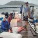 Fishing and farmig cooperative, extraordinario concurso de pesca en Providencia 