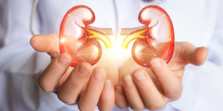 Multinacional de cuidado renal DaVita, expande sus operaciones en Latinoamérica 