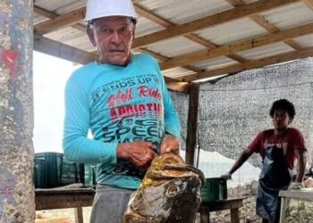Se siguen produciendo buenas faenas pesqueras en las islas  
