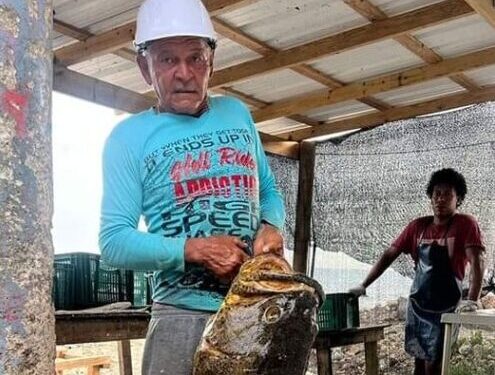 Se siguen produciendo buenas faenas pesqueras en las islas  