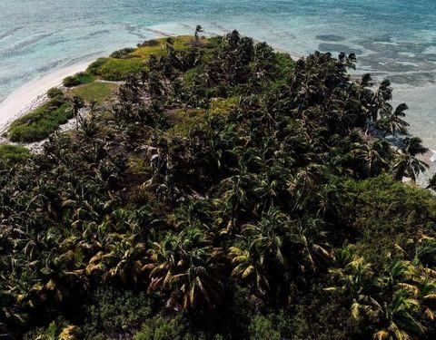 Coralina invita a descubrir la majestuosidad de Seaflower 