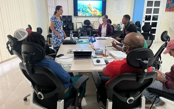 Taller sobre tráfico de tortugas marinas en la reserva de biosfera Seaflower 