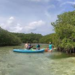 Coralina invita a toda la población de las islas ayudar a conservar la vida de los manglares 