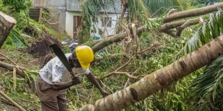 Huracán Beryl rompe todos los récords
