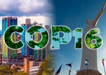 Agenda COP16: Colombia presenta el programa de acción y participación más grande en la historia de la cumbre de biodiversidad 