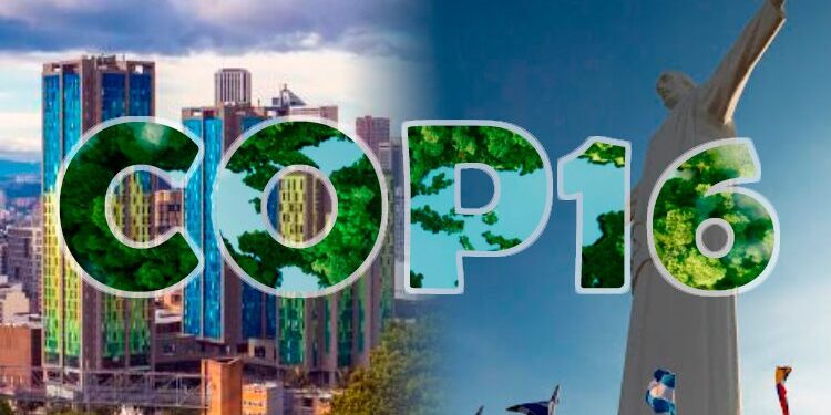 Agenda COP16: Colombia presenta el programa de acción y participación más grande en la historia de la cumbre de biodiversidad 