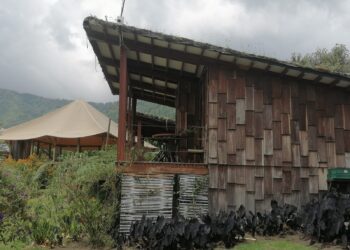 Andes occidentales, montañas con aroma a flores y café