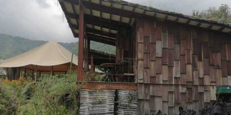 Andes occidentales, montañas con aroma a flores y café