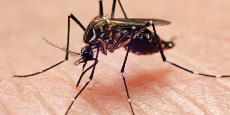 Alerta por virus poco conocido, en Colombia ya hay 74 casos: conozca los síntomas