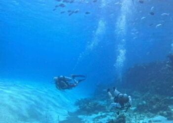 Dimar advierte que se deben cumplir todos los requerimientos de ley al momento de la práctica de actividades de buceo y deportes náuticos 