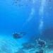 Dimar advierte que se deben cumplir todos los requerimientos de ley al momento de la práctica de actividades de buceo y deportes náuticos
