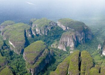 Intervención judicial contra la deforestación en el Parque Nacional Natural Chiribiquete 