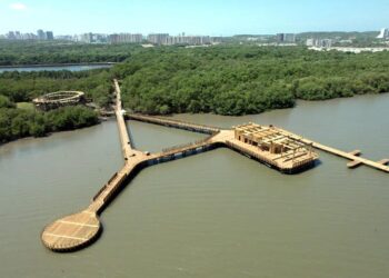 Informe periodístico de El Espectador revela detalles de los graves impactos sobre la Ciénaga de Mallorquín causados por ciudadela y ecoparque construidos cerca de ese ecosistema del departamento del Atlántico 