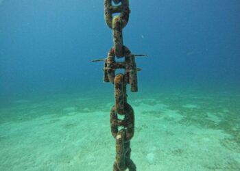Coralina y aliados hacen mantenimiento a sistema de monitoreo oceanográfico 