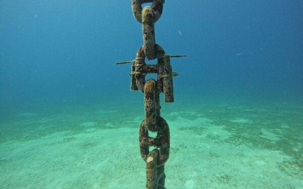 Coralina y aliados hacen mantenimiento a sistema de monitoreo oceanográfico 