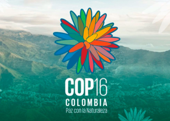 Cop16: Colombia será el epicentro del VIII congreso iberoamericano de educación ambiental 