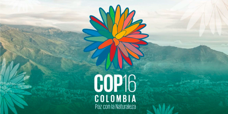 Cop16: Colombia será el epicentro del VIII congreso iberoamericano de educación ambiental 