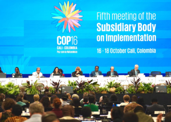COP16: delegaciones del mundo ya están en Colombia para hacer el balance sobre el cumplimiento del acuerdo global para la conservación de la biodiversidad 
