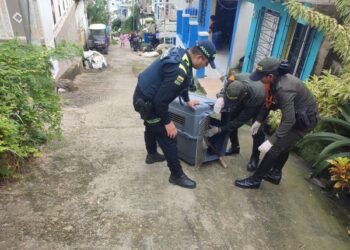 Policía Nacional rescata dos mascotas en estado de abandono 