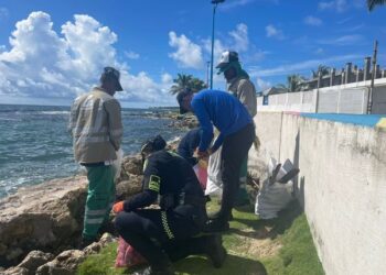 Jornada de embellecimiento en el sector de San Luis 