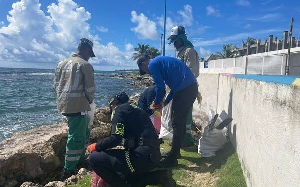 Jornada de embellecimiento en el sector de San Luis