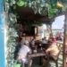Fruta fresca: un rincón del sabor frente al mar