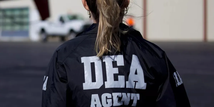 Cuatro narcos nicaragüenses que se ocultaban y operaban en San Andrés buscados con circular roja de Interpol, fueron capturados esta madrugada por la DEA y la Dijin en envolventes operativos de allanamientos 