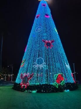Transición energética y navidad sostenible en San Andrés, Providencia y Santa Catalina 