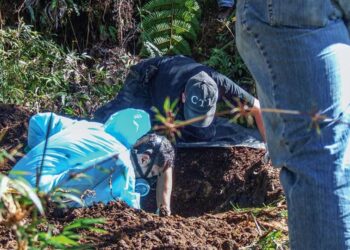 Disidencias de las FARC masacraron nueve niños en Cauca y los enterraron en una fosa común 