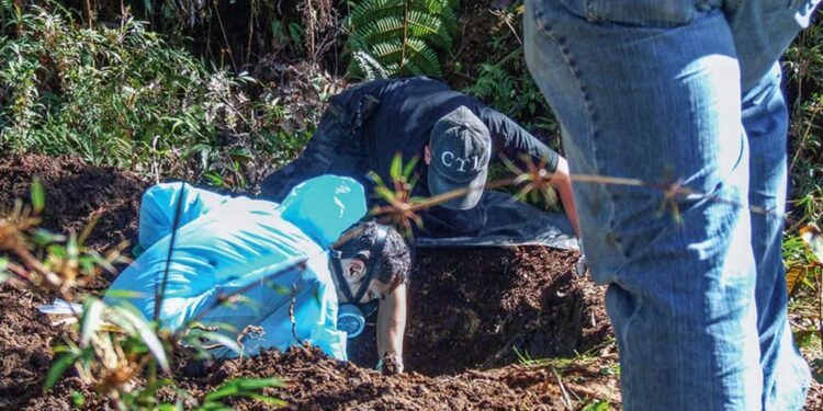 Disidencias de las FARC masacraron nueve niños en Cauca y los enterraron en una fosa común 