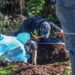 Disidencias de las FARC masacraron nueve niños en Cauca y los enterraron en una fosa común 