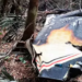 Brasil derribó narcoavión procedente de Venezuela 