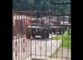 Guerra urbana en municipios de Colombia. Diferentes grupos armados han copado a las Fuerzas Militares institucionales  