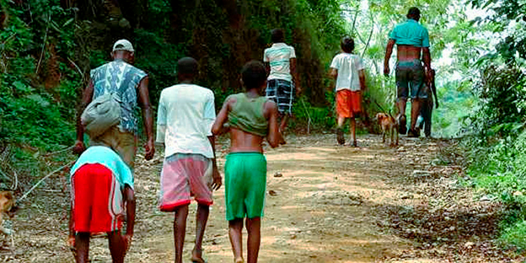 Así está la crisis humanitaria del Chocó por la toma violenta de los grupos armados que se están disputando ese territorio 