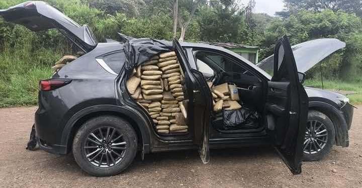 Incautada más de media tonelada de marihuana del cártel de alias Mordisco en La Plata, Huila!  