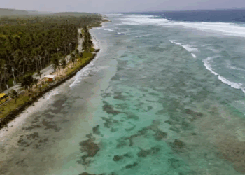 Chivas, rondón y limpieza de playas: así es el turismo con conciencia en San Andrés