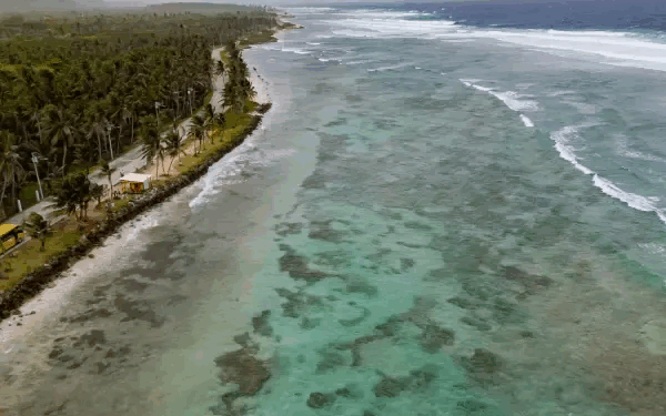 Chivas, rondón y limpieza de playas: así es el turismo con conciencia en San Andrés