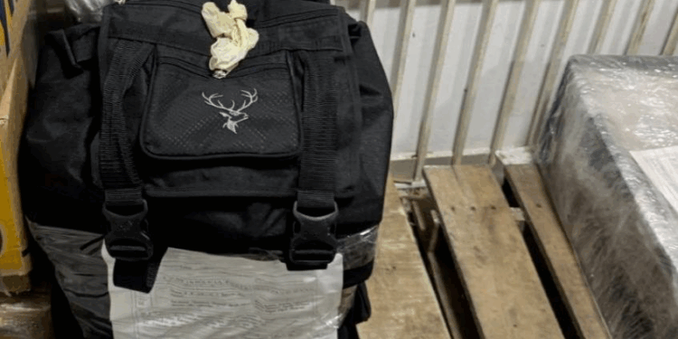 A la cárcel tres hombres que contaminaban con cocaína los sistemas de refrigeración de los contenedores de Santa Marta con destino a Bélgica  