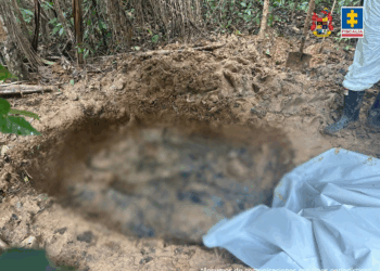 Hallazgo de fosa común con ocho víctimas de las disidencias de las FARC en Guaviare: los obligaron a cavar su propia tumba. 