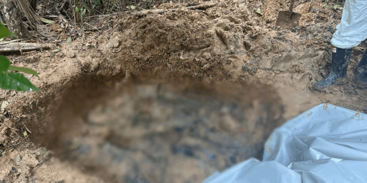 Hallazgo de fosa común con ocho víctimas de las disidencias de las FARC en Guaviare: los obligaron a cavar su propia tumba. 