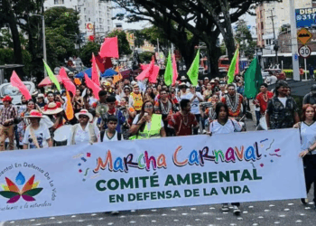 Calculan que 80 buses movilizaron desde Cundinamarca y poblaciones del Tolima a buena parte de los asistentes a la concentración del presidente Petro en la plaza Murillo Toro de Ibagué 