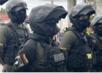 Llegaron 100 cascos negros de la Policía a retomar en orden en la isla