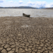 Ideam, Dimar y UNGRD emitieron boletín sobre estado del fenómeno de el niño