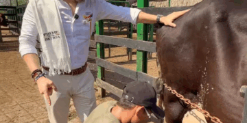 Nuestros campesinos serán empresarios del campo en la patria milagro ”: Abelardo de la Espriella  