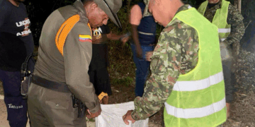 Dos sujetos fueron capturados con cerca de medio centenar de cangrejos en temporada de veda 