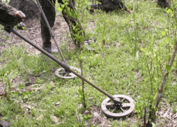 En firme condena contra integrante de las extintas farc por fabricación y suministro de minas antipersona 