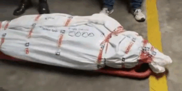 Presidente anuncia que sigue cerrándoles el cerco a los narcoterroristas con la captura de otro cabecilla de alias Calarcá pedido por Estados Unidos