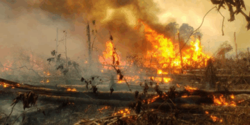 Colombia afronta en simultánea las secuelas del terremoto interdepartamental y oleada de incendios forestales 
